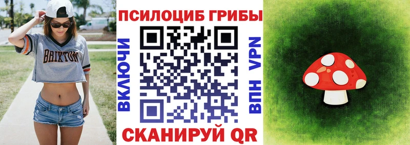 Галлюциногенные грибы Psilocybe купить наркотик Кыштым